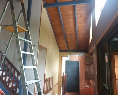 Sunshine Coast painter - Renovations